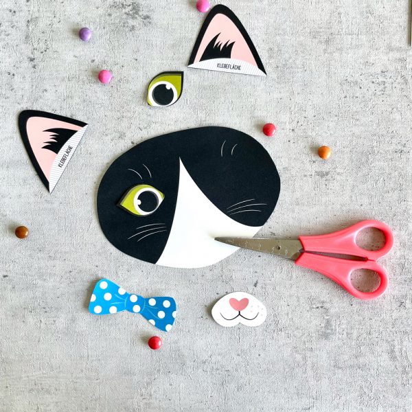 BirthdayBOX Katzen Geburtstag – Bild 15