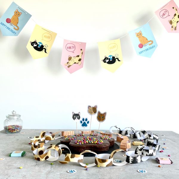 DownloadBOX Katze – Bild 2