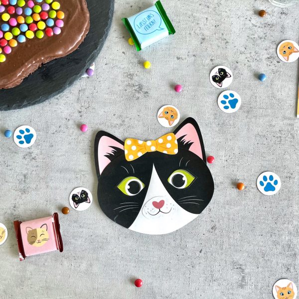 DownloadBOX Katze – Bild 17