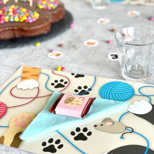 DownloadBOX Katze – Bild 4