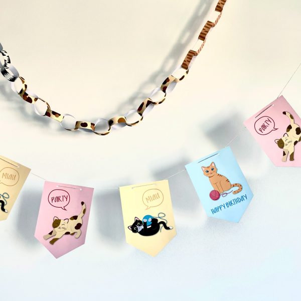 DownloadBOX Katze – Bild 6