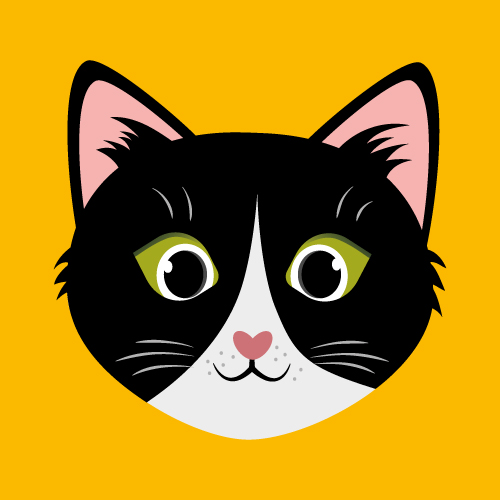 Katzenparty